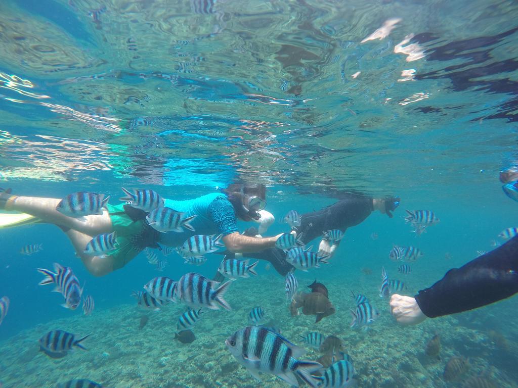 Tropical Surf House Okinawa Hotel Onna Eksteriør billede